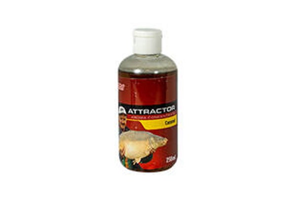 BenzarMix AromaKoncentratum  Caramel (caramello)250 ml