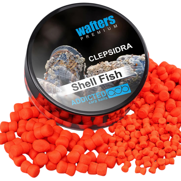 Addicted Carp Baits Clepsidra Shell Fish  (crostacei)mm6