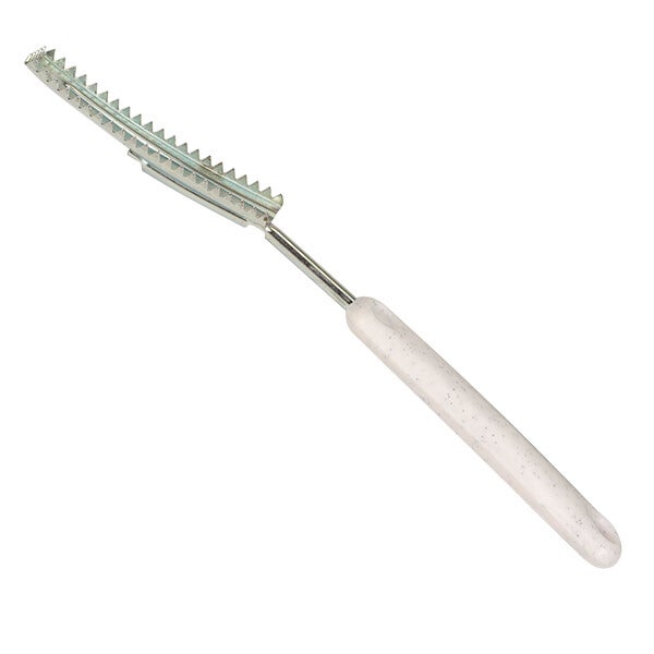 Accessorio per pulizia pesci (squamatore)