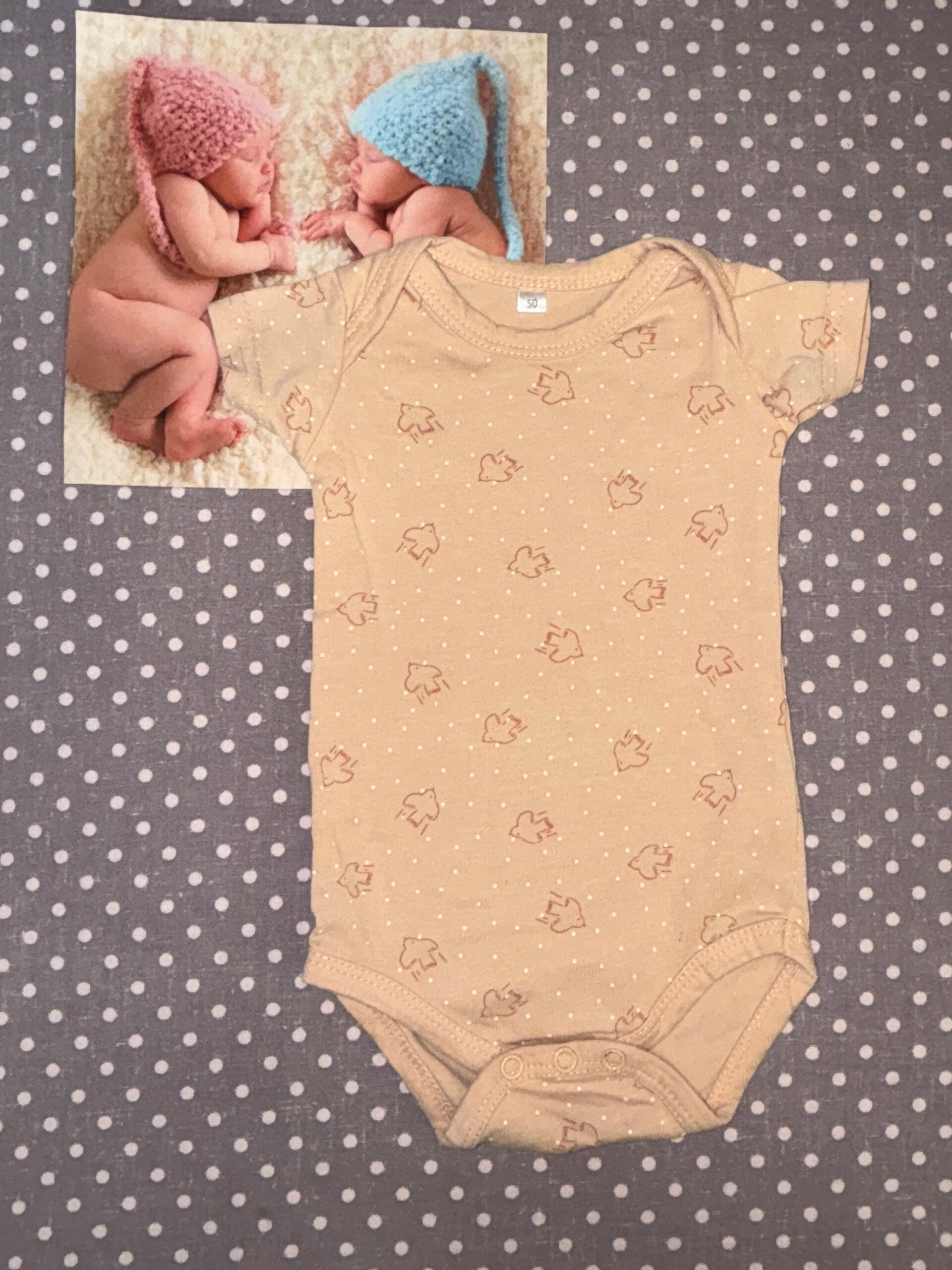 Naissance bodie oiseaux