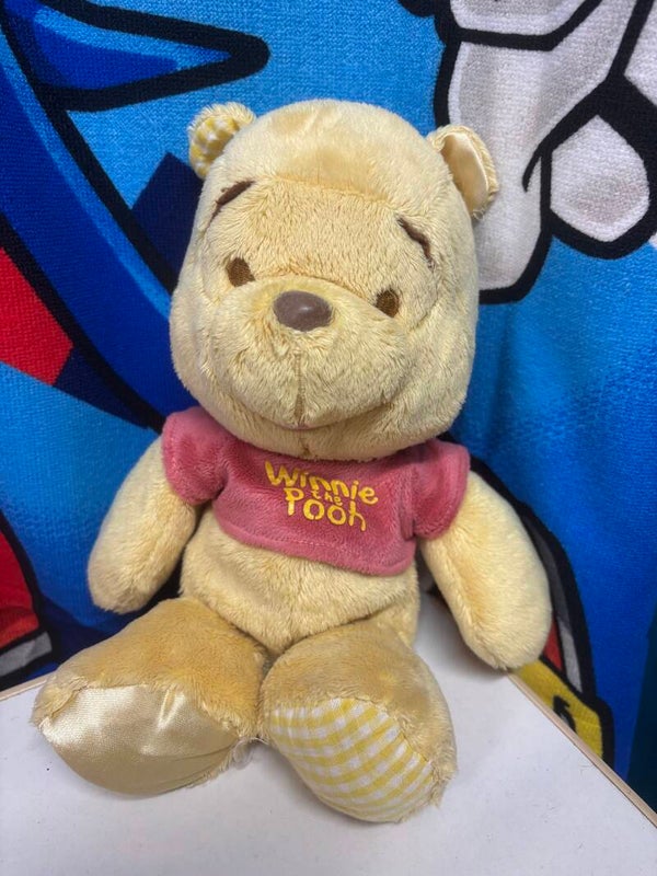 21 : Winnie doux 25 cm