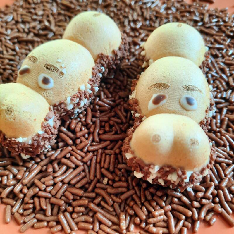 Dierenfeestje. Een compleet kinderfeestje met traktatietips, dierenbingo, spelletjes en diploma.