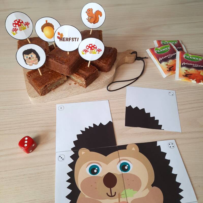 Herfstactiviteiten voor peuters, kleuters en jonge kinderen. Van dobbelspel en herfstbingo tot knutselideeën.