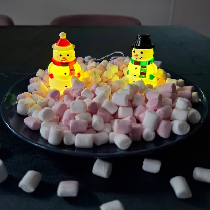 Een winters bordje voor kinderen. Leuk voor een winter kinderfeestje of bij de gastouderopvang.