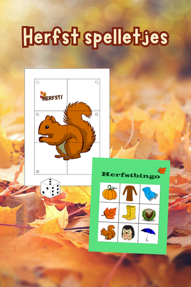Herfstbingo voor kinderfeestje, gastouder, kinderopvang, peuterspeelzaal of school | herbst bingo | autumn bingo