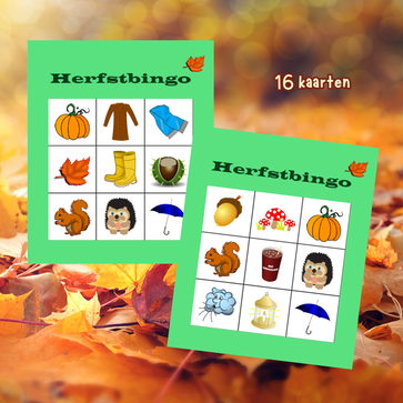 Herfstbingo. Een plaatjesbingo helemaal in het thema: herfst!