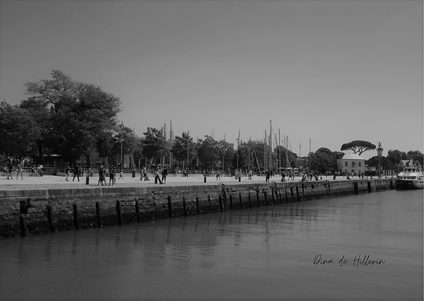 Les pas du quai