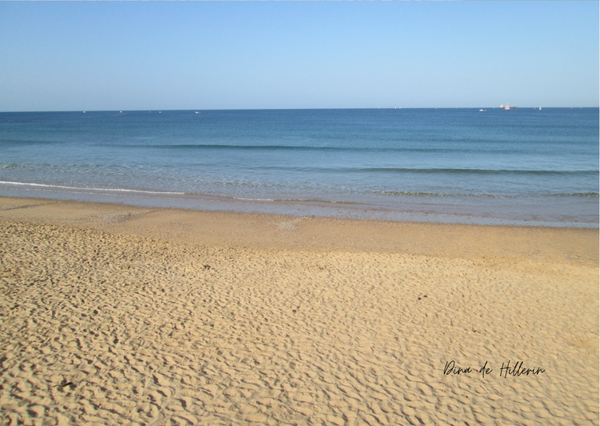La playa de arena