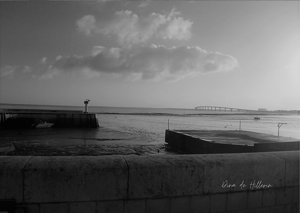 Côte rhétaise