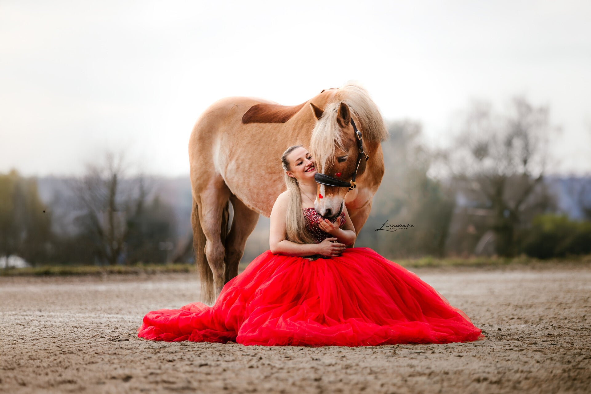 Pferdefotografie Herten