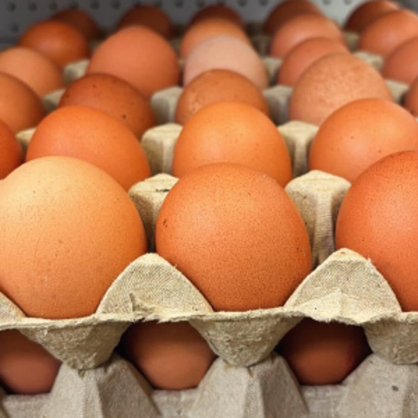 Eggs x 1 Tray (30) Medium