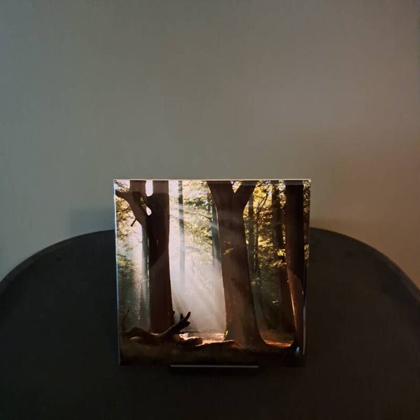 Foto tegel zonneharpen Mensingebos Roden, Drenthe