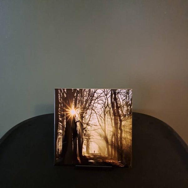 Foto tegel wandelaar Mensingebos Roden, Drenthe