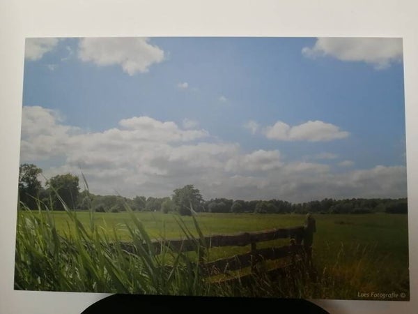 Meerweg Nietap, Drenthe, 50 x 75 cm