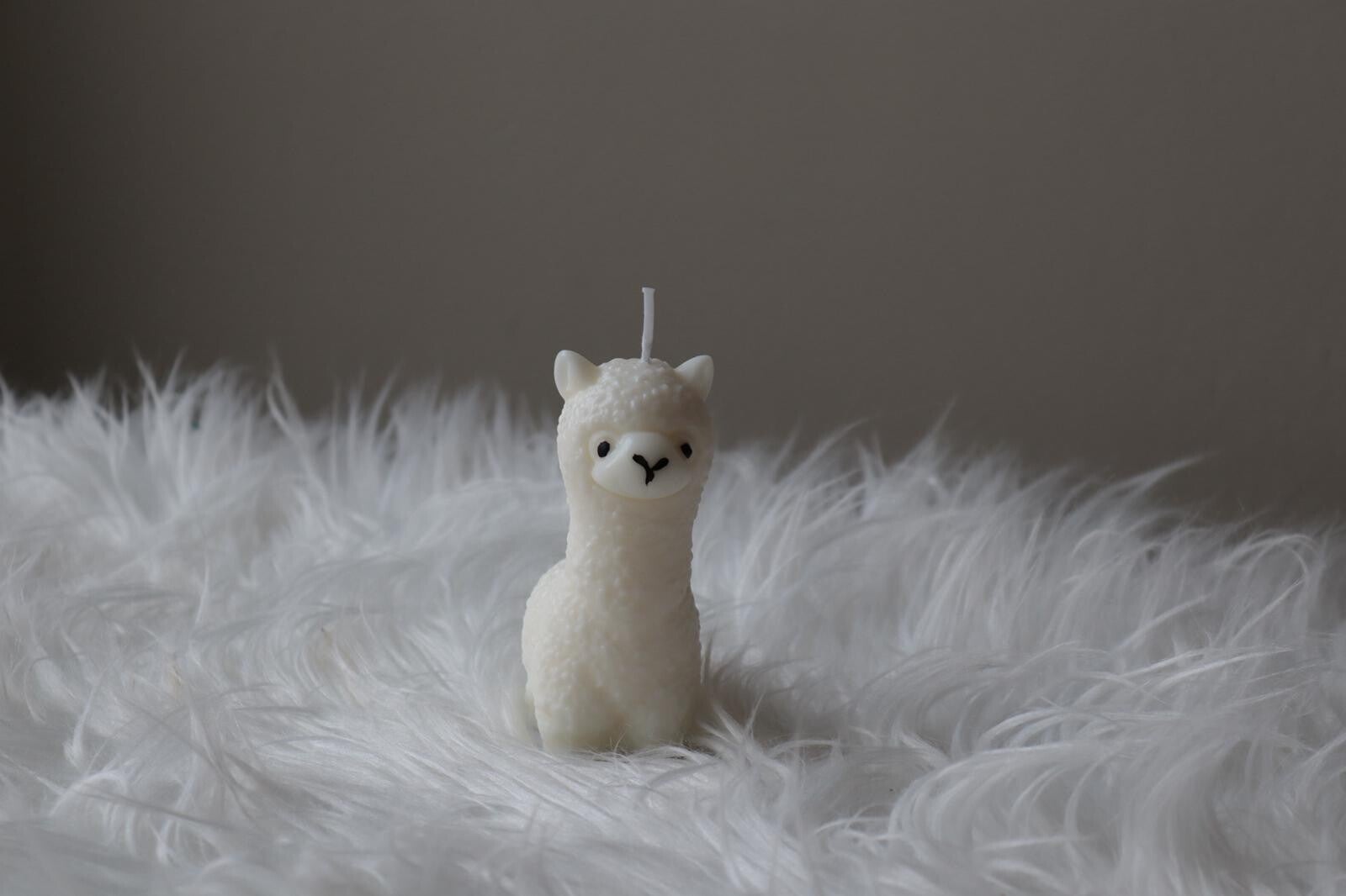 Alpaca