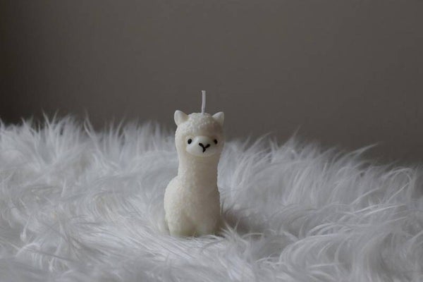 Alpaca