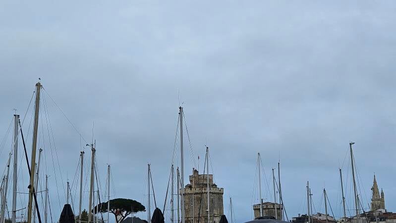 20241109_091016-standard.jpg