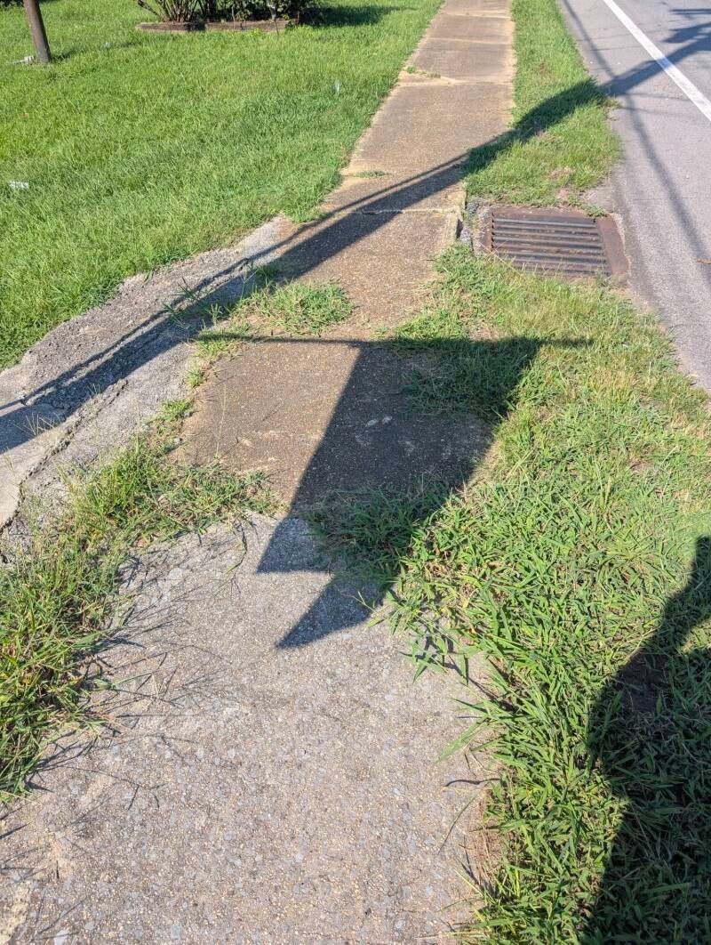 769309277_122123947551319627_3543142436853212674_n-standard.jpg