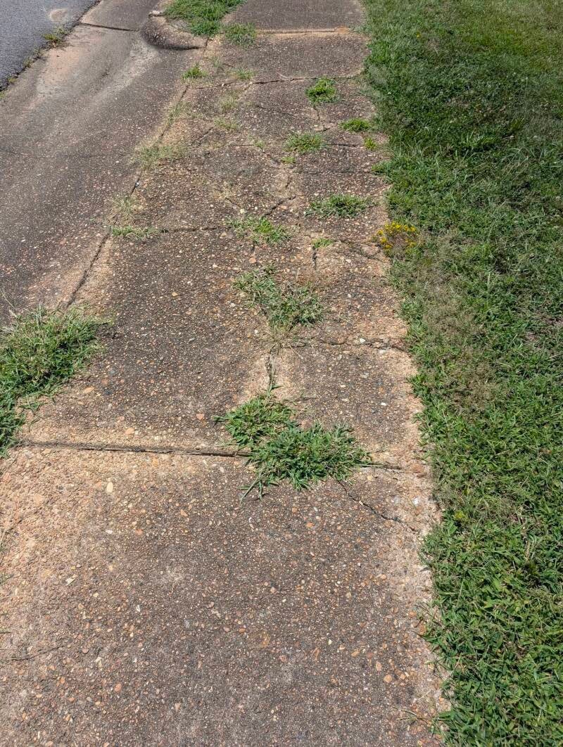 770688411_122123952975319627_1644136927105755024_n-standard.jpg