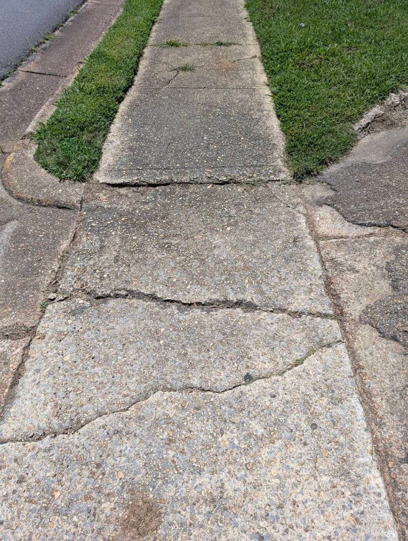 772890211_122123954073319627_8609999025721536959_n-standard.jpg
