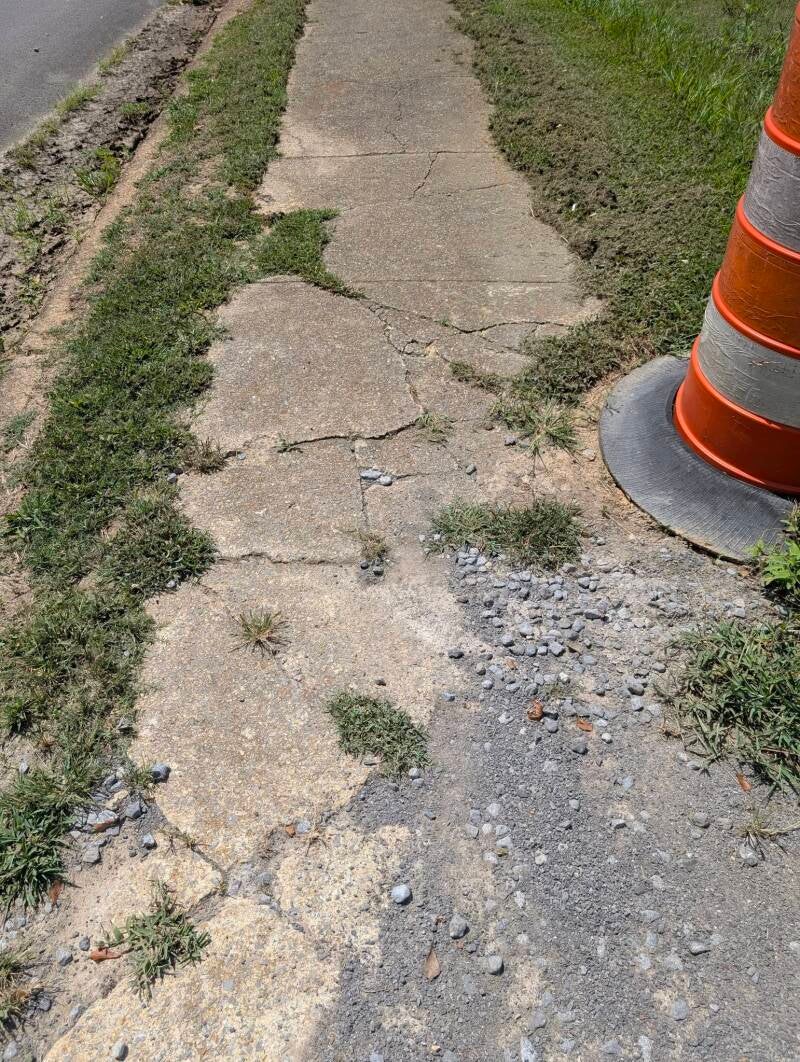 773509596_122123952303319627_590084804867286747_n-standard.jpg