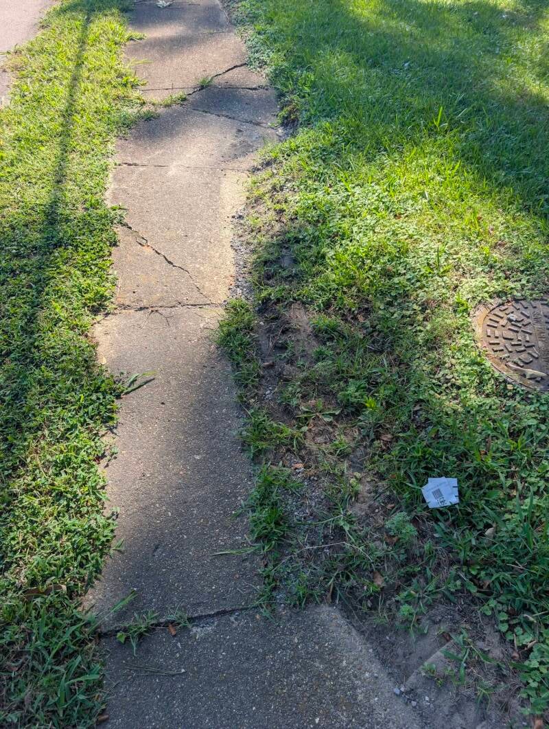 775260542_122123948079319627_3635017444657978364_n-standard.jpg