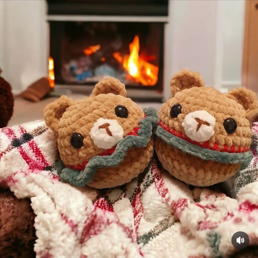 Commande pour Nikko n°8