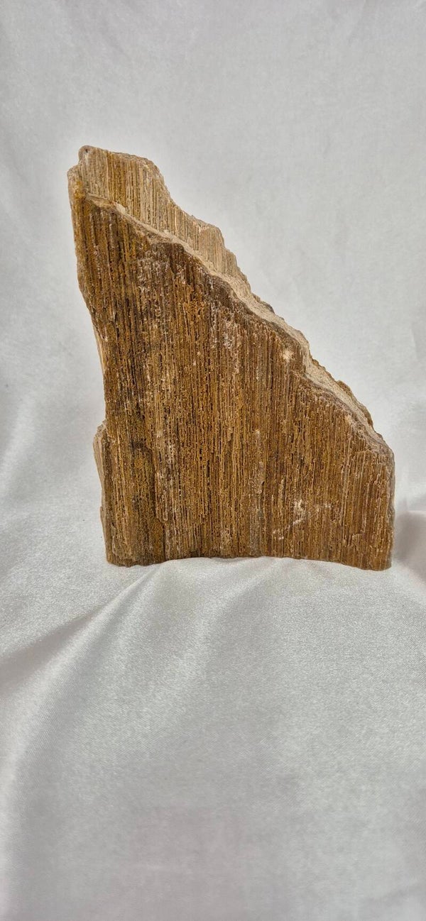 Versteend hout