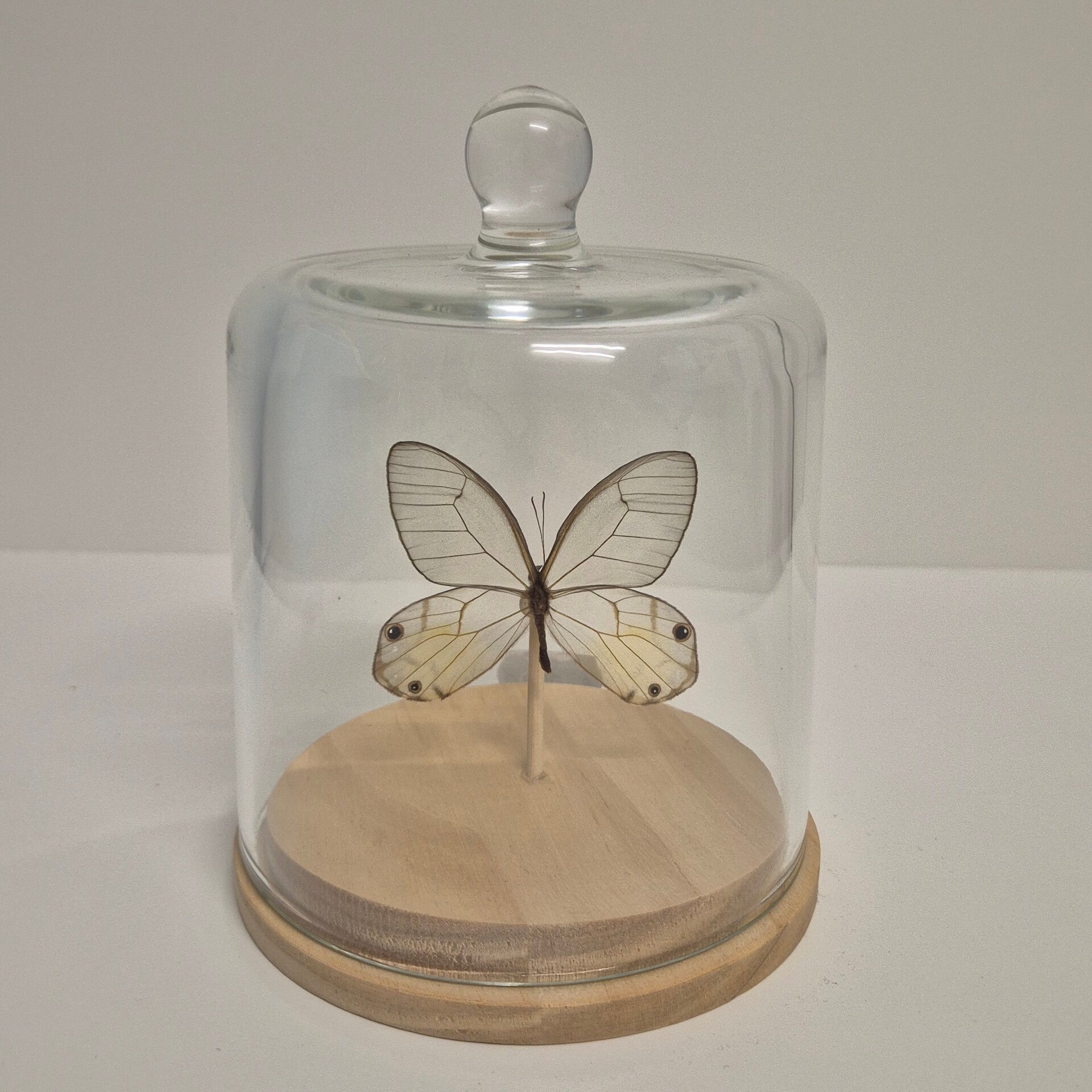 Stolp mini Haetera Piera