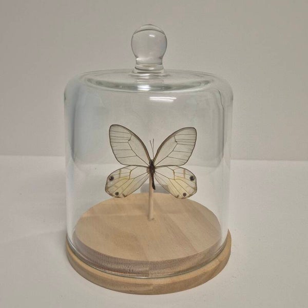 Stolp mini Haetera Piera