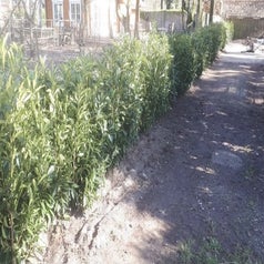 C3D9575A-421E-48CE-8AF2-4AA0B9BF2303.jpeg