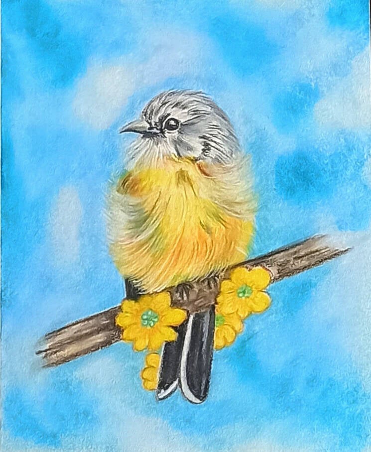 Canarino giallo su ramo - Ritratto uccellino a pastello soft