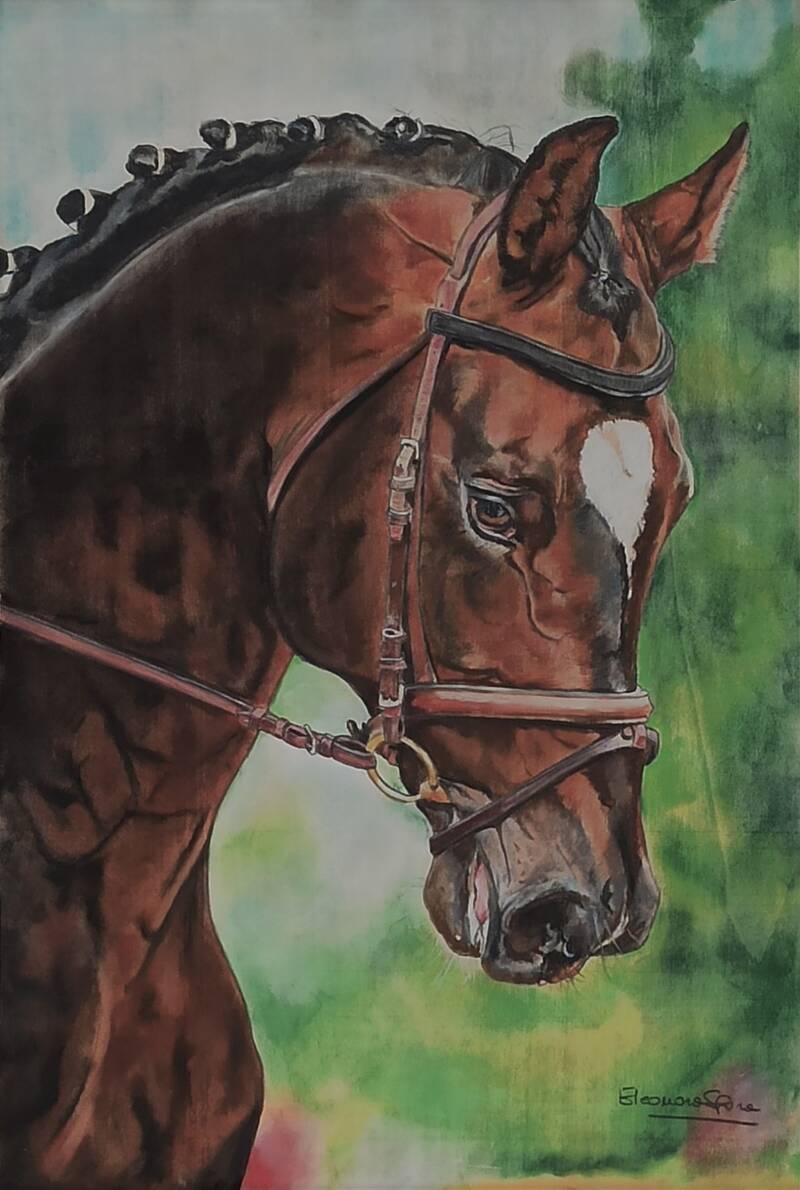Cavallo marrone - Ritratto cavallo a pastello soft - Eleonora Sgura