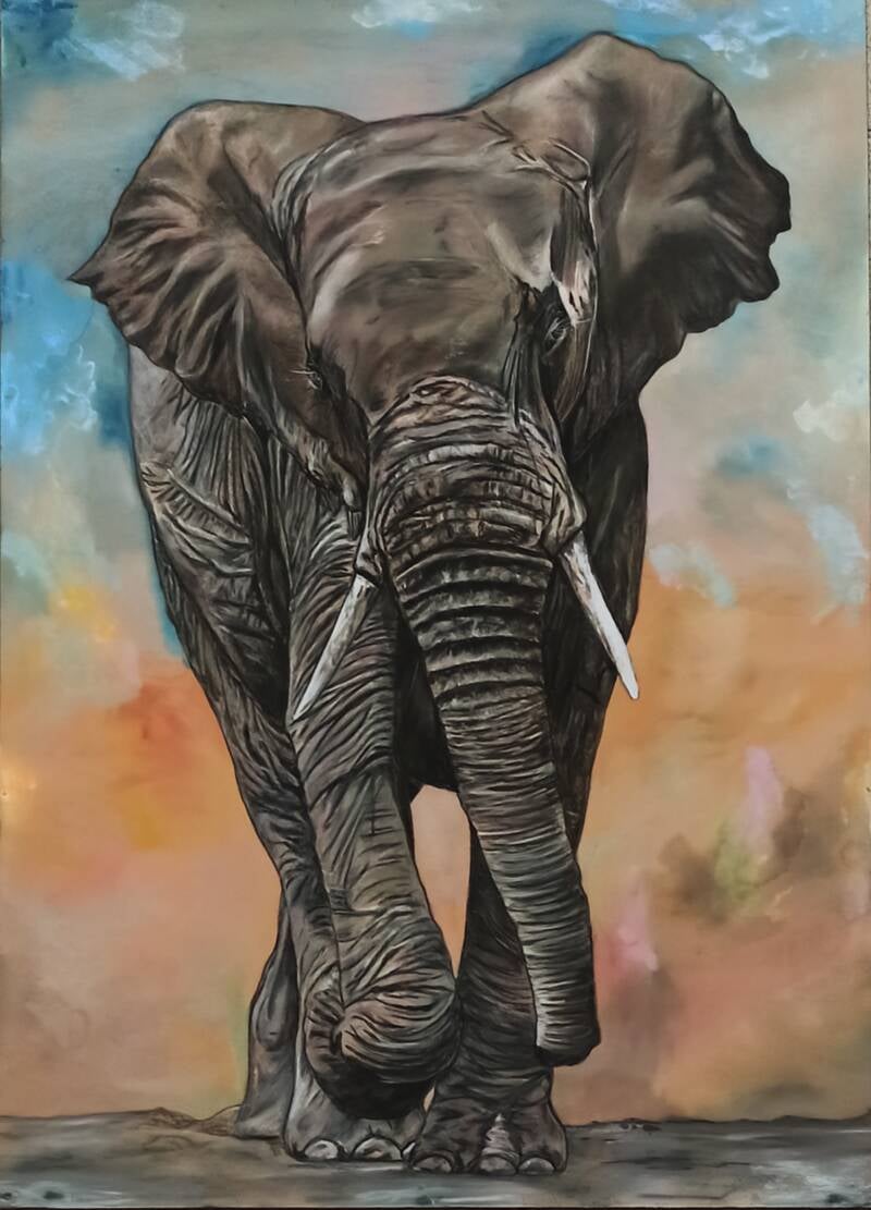 Elefante - Ritratto animale esotico a pastello soft - Eleonora Sgura