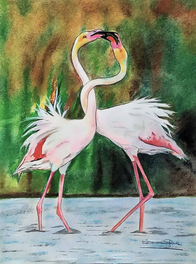 Fenicotteri rosa coppia - Ritratto fenicotteri a pastello soft