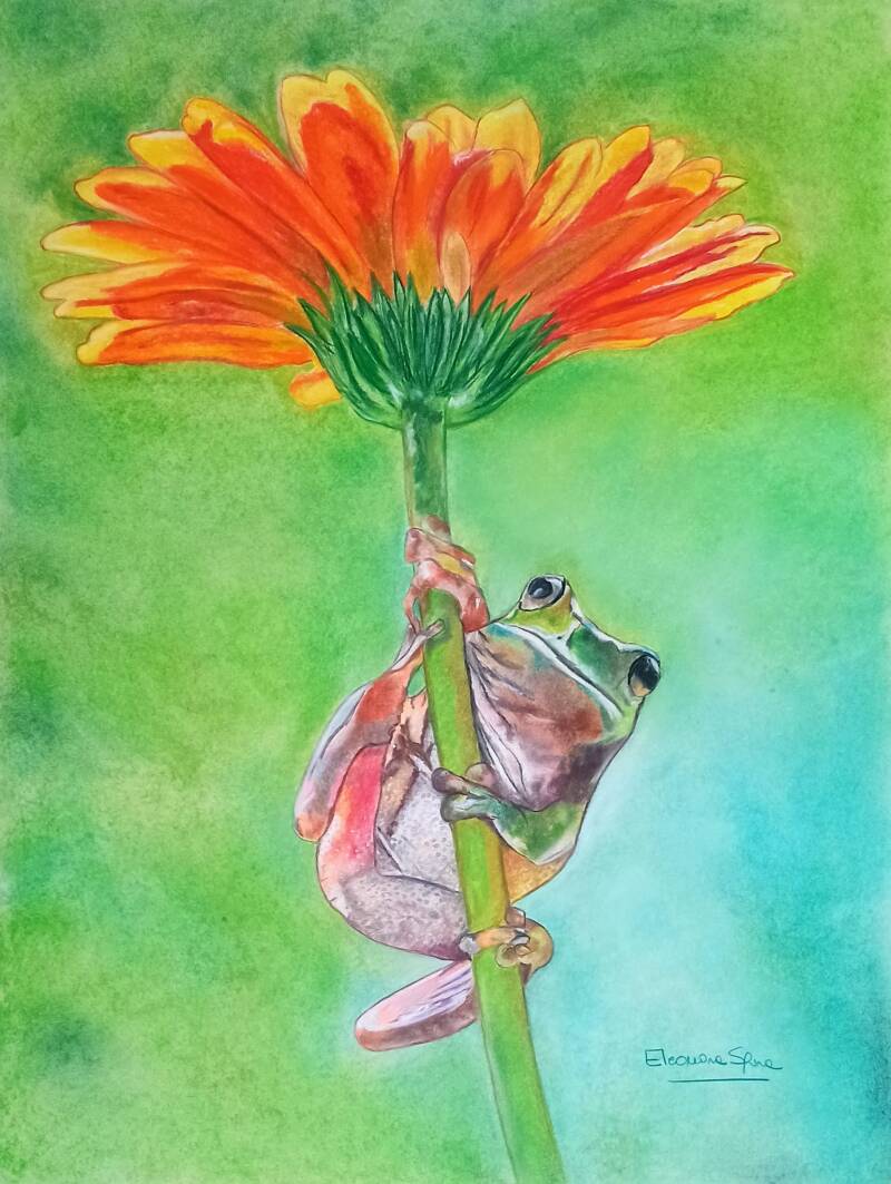 Fiore rosso con rana - Dipinto natura a pastello soft