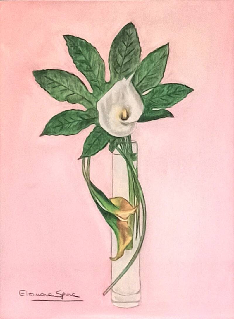 Quadro fiore bianco calla su sfondo rosa - pittura pastello