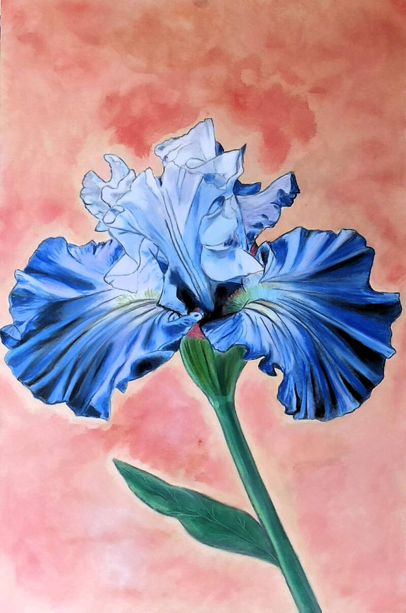 Quadro fiore iris blu dipinto a pastello soft - Eleonora Art