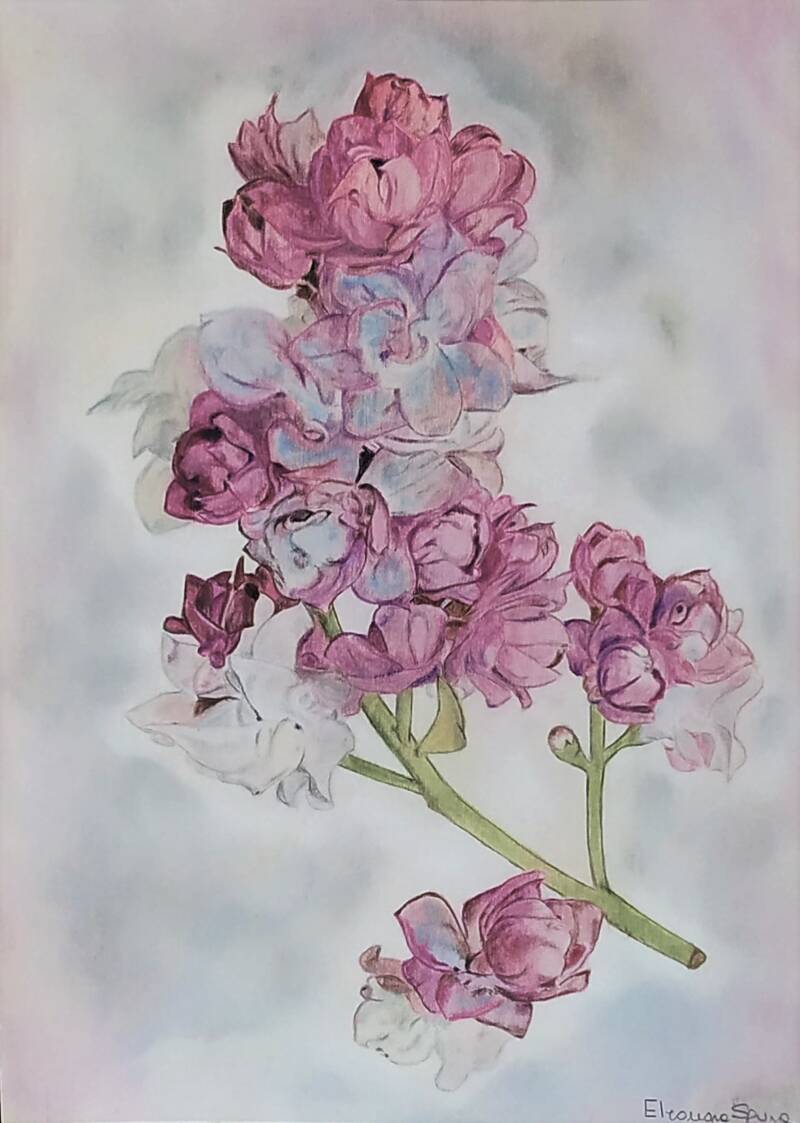 Quadro lillà rosa fiori dipinti a pastello soft - Eleonora Sgura