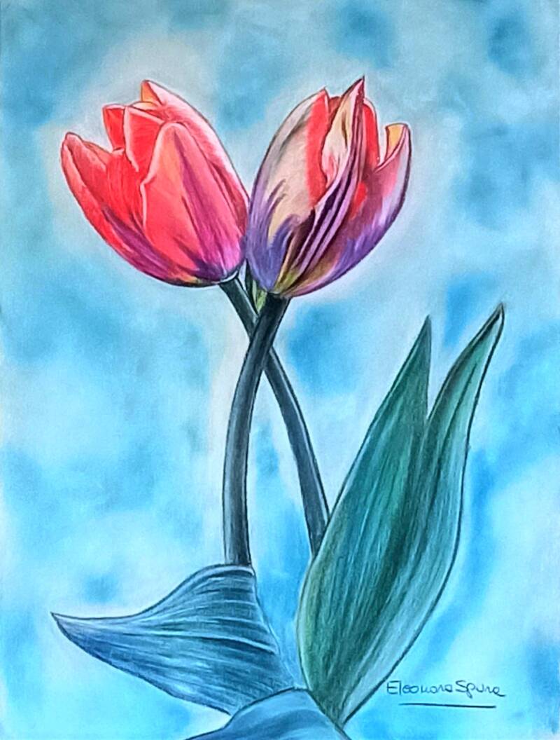 Quadro di due tulipani rosa su sfondo azzurro a pastello soft