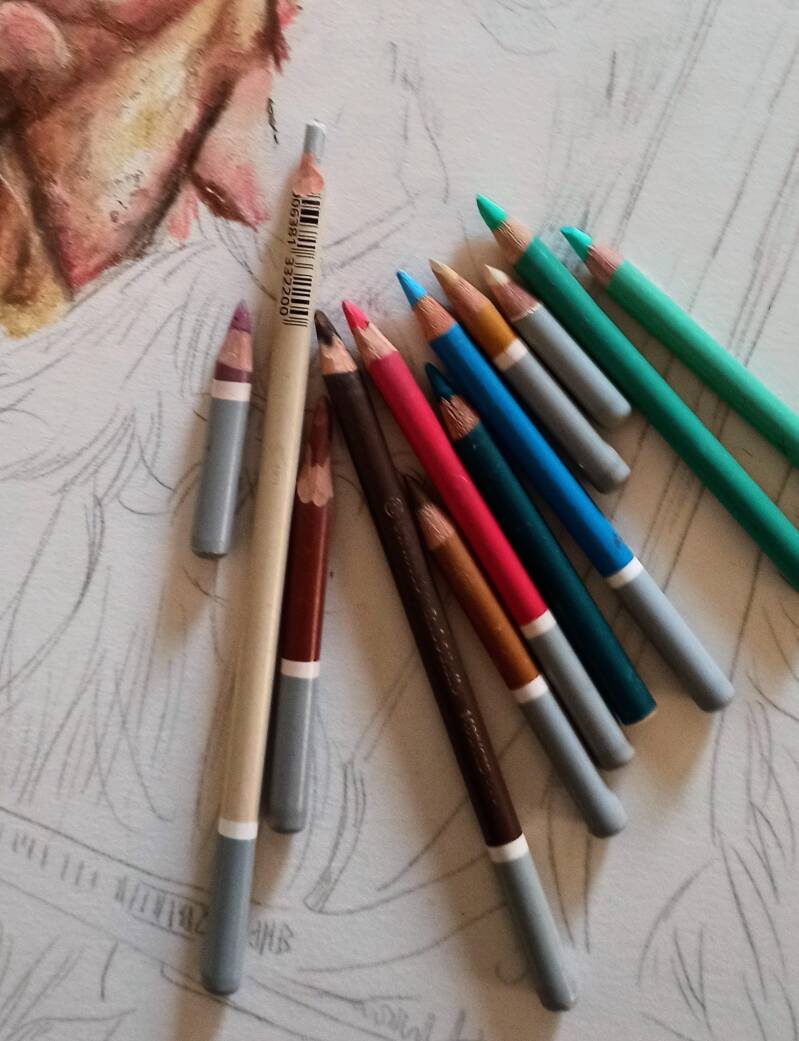 Matite colorate professionali su disegno di ritratto realistico in corso d'opera - dettaglio tecnica mista pastello e matita, Eleonora Sgura Art