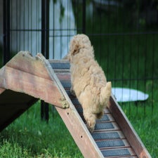 img_8393-standard.jpg