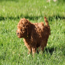 img_8397-standard.jpg