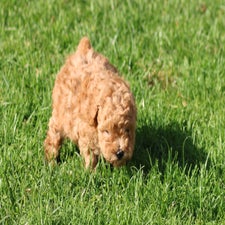 img_8398-standard.jpg