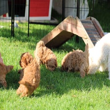 img_8402-standard.jpg