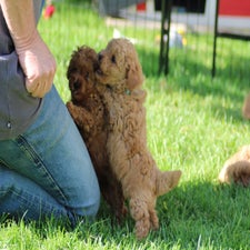 img_8404-standard.jpg