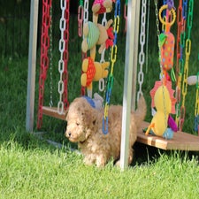 img_8406-standard.jpg
