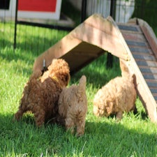 img_8407-standard.jpg