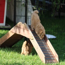 img_8428-standard.jpg