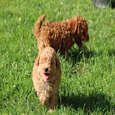 img_8442-standard.jpg